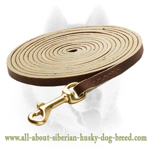 Strong leather tracking leash