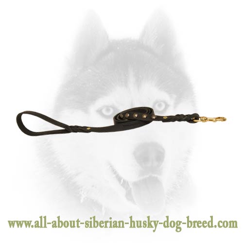 Leather Siberian Husky leash
