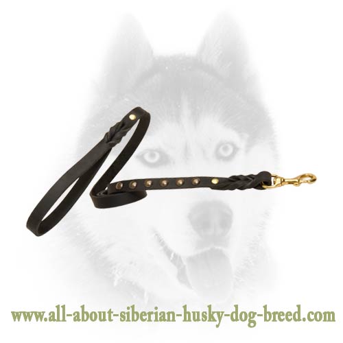 Strong durable leather leash