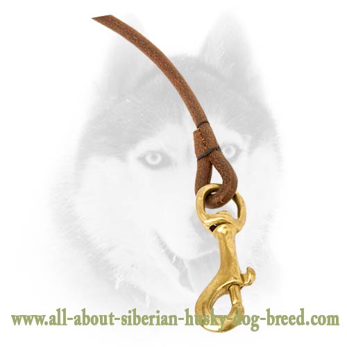 Best quality leather round leash