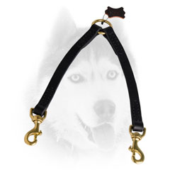 Superb leather Siberian Husky line for walking two canines