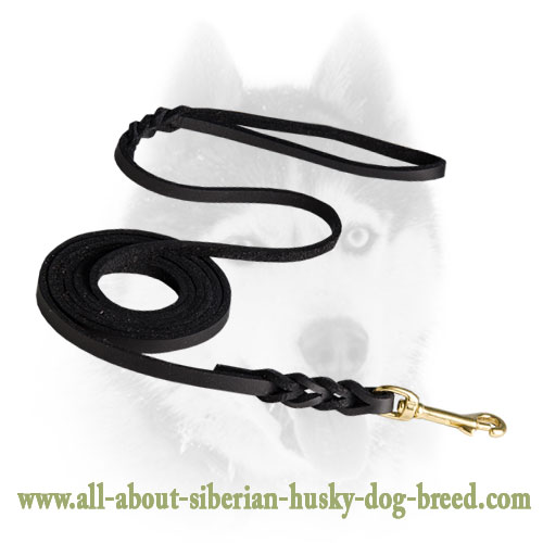 Leather leash with short braids for Siberian Husky
