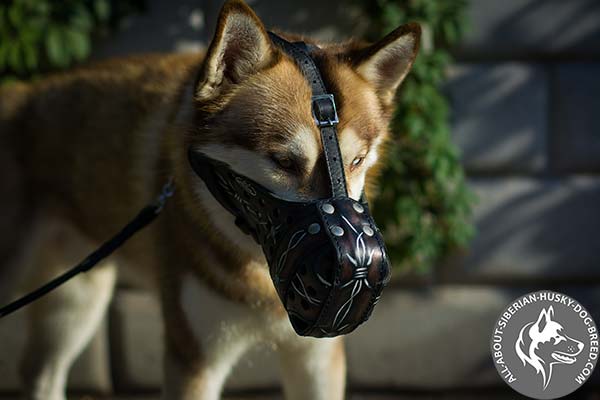 Comfortable Leather Dog Muzzle  with Regulated in Size Straps