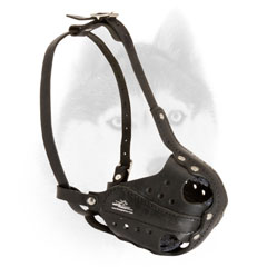 Leather muzzle with perfect air flow