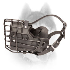 Practical wire cage Siberian Husky muzzle
