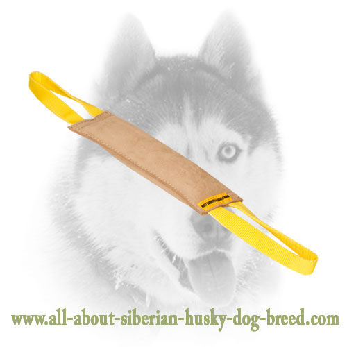 Siberian Husky Puppy Bite Tug With Comfy Handles