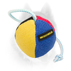 Superb many-colored ball for Siberian Husky