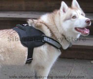 Excellent quality nylon reflective Siberian Husky harness Excellent quality nylon reflective Siberian Husky harness