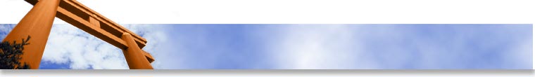 High quality Siberian Husky training items: walking
muzzles, training harnesses, long tracking leashes, collars,
bite tugs and safe toys
