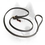 Siberian Husky Anywhere Fast Handling leash choke collar combo