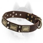 High Quality Leather Siberian Husky Collar with Brass Plates and Nickel Pyramids