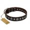 "Victory Ode" FDT Artisan Brown Leather Siberian Husky Collar with Silver-like Plated Decorations