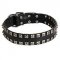 Tremendous Studded Leather Siberian Husky Collar for Walking and Training