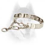 Neck Tech Stainless Steel Dog Pinch Prong Collar for Siberian Husky 19 inch (48 cm) in length