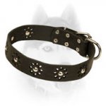 Studded Leather Dog Collar