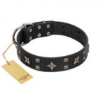 "Star Excitement" Modern FDT Artisan Black Leather Siberian Husky Collar with Studs and Stars