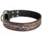 Awesome Hand-Painted Barbed Wire Leather Siberian Husky Collar