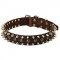 Spiked and Studded Leather Siberian Husky Collar for Fashionable Walking