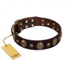 "Breaking the Horizon" FDT Artisan Brown Leather Siberian Husky Collar with Engraved Studs and Medallions