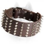Leather Siberian Husky Collar with Nickel Pyramids and Spikes