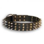 Delightful Leather Siberian Husky Collar with 3 Nickel Spikes and 3 Brass Pyramids