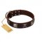 "Nut-Brown Finery" Embellished FDT Artisan Brown Leather Siberian Husky Collar with Chrome Plated Crossbones and Plates