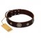 "Magic Stones" FDT Artisan Brown Leather Siberian Husky Collar with Chrome Plated Brooches and Studs
