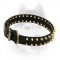 Stylish and elegant leather Siberian Husky collar with spikes