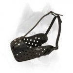 Agitation/Attack Training Leather Muzzle for Siberian Husky