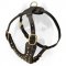 Stylish looking studded Siberian Husky harness
