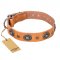 "Twinkle Twinkle" FDT Artisan Incredible Studded Tan Leather Siberian Husky Collar