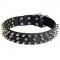 Incredible Leather Siberian Husky Collar with 3 Rows of Spikes