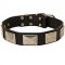 Brilliant Leather Siberian Husky Collar with Nickel Plates
