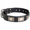 Leather Siberian Husky Collar with Large Nickel Plates