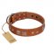 "Egyptian Gifts" Handmade FDT Artisan Tan Leather Siberian Husky Collar with Chrome-plated Pyramids