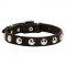 Elegant Leather SIberian Husky Collar with Nickel Studs for Daily Walking