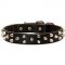 Fashion Leather Siberian Husky Collar with Studs / Pyramids