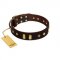 "Blinking Illusion" FDT Artisan Brown Leather Siberian Husky Collar with Old Bronze-like Studs and Plates