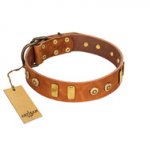 "Egyptian Script" FDT Artisan Tan Leather Siberian Husky Collar with Plates and Small Studs