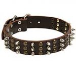 Incredible Leather Siberian Husky Collar with Studs and Spikes for Fashionable Walking