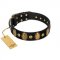 "Venerable Pawty" FDT Artisan Black Leather Siberian Husky Collar with Old Bronze-like Ovals and Studs