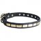 Fashionable Leather Siberian Husky Collar with Brass Plates