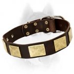 Leather Siberian Husky Collar with Brass Plates