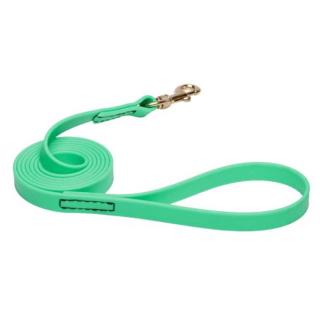 Green Waterproof Siberian Husky Leash Made of Biothane
