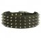 Leather Spiked Siberian Husky Collar for Walking