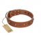 "Silver Age" Fashionable FDT Artisan Tan Leather Siberian Husky Collar with Silver-Like Studs