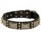 Gorgeous Wide Leather Siberian Husky Collar with Plates and Spikes