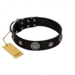 "Blue Gems" FDT Artisan Black Leather Siberian Husky Collar with Chrome Plated Studs and Conchos