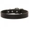 Everyday Leather Siberian Husky Collar for Daily Usage