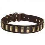 Wonderful Siberian Husky Leather Collar Decorated With Brass Plates